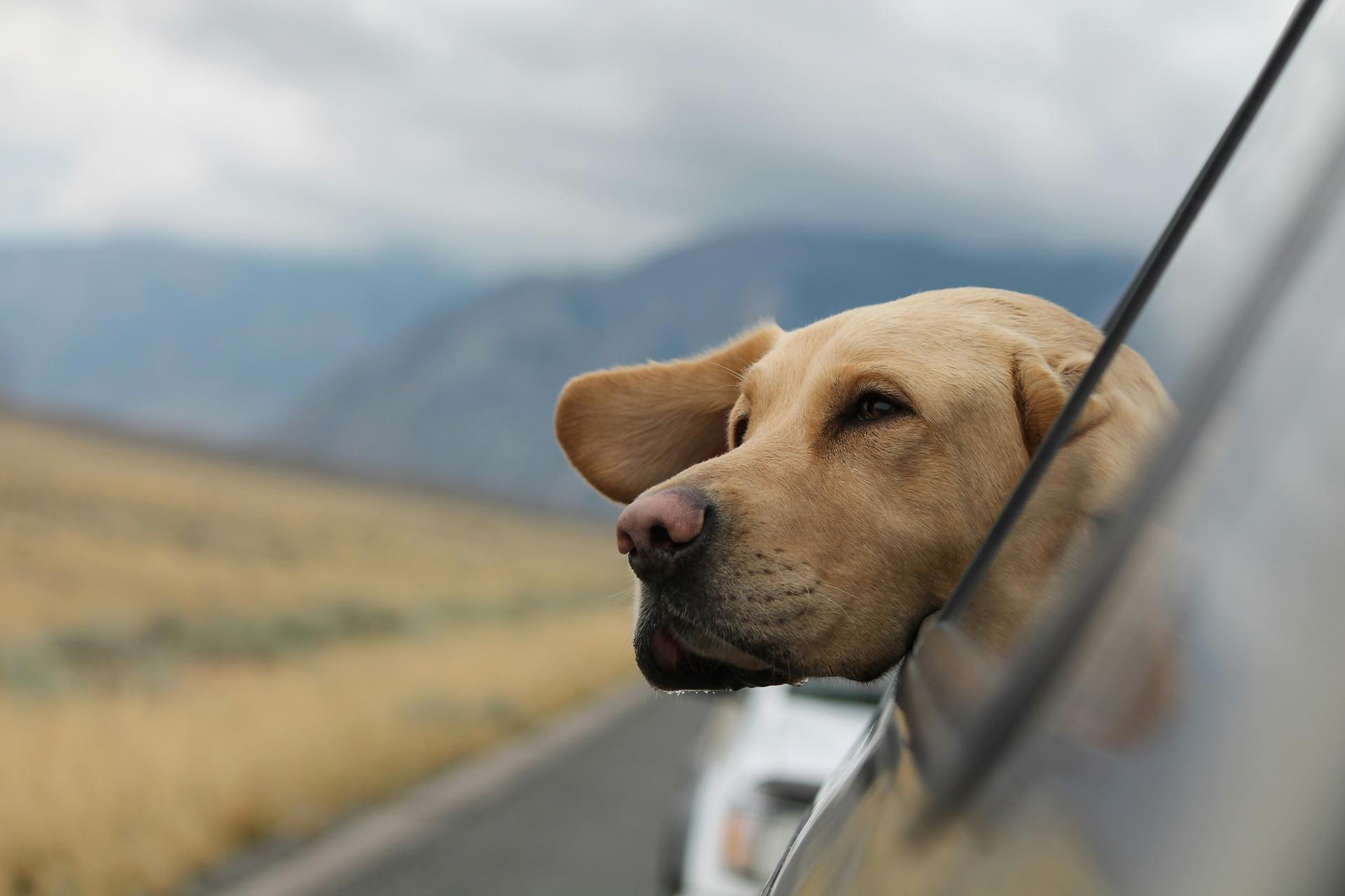The 3 Best American Road Trips To Take This Year