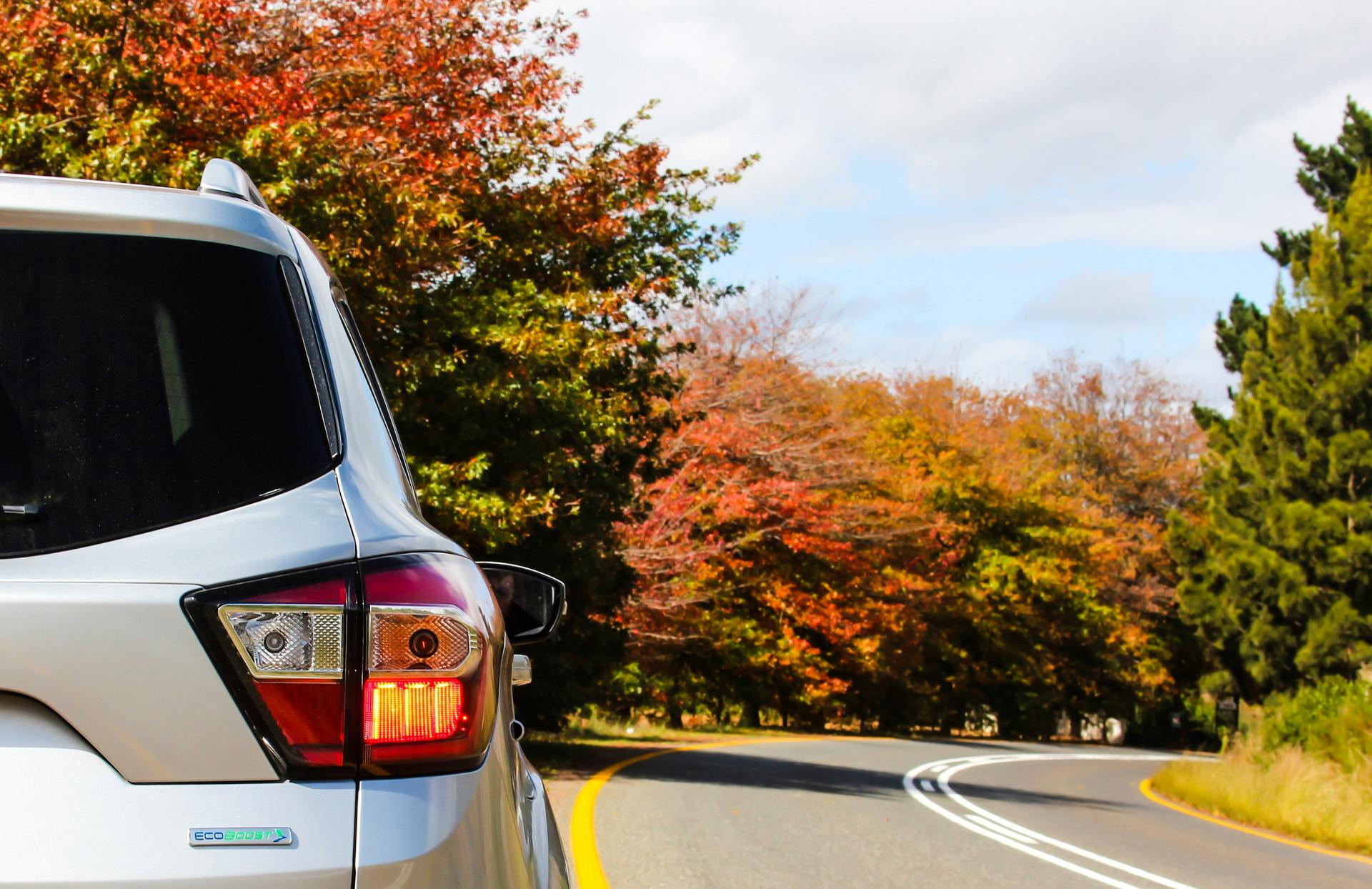 Should You Rent A Car on Vacation? 5 Things to Consider